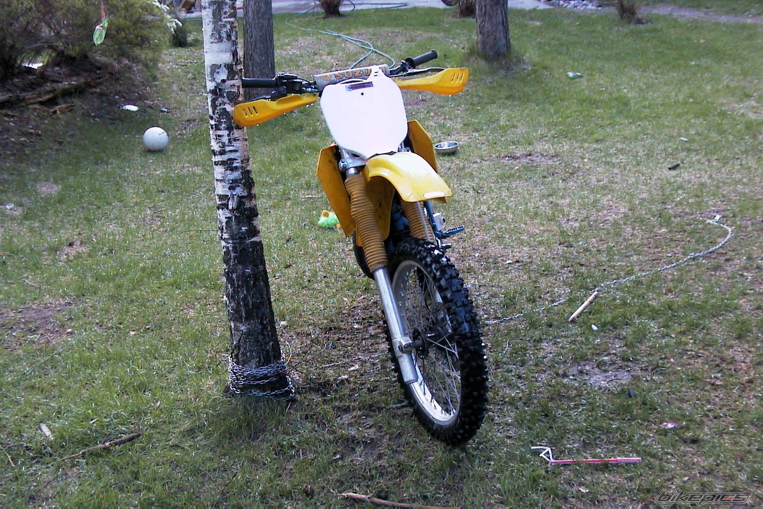 Photo 156337