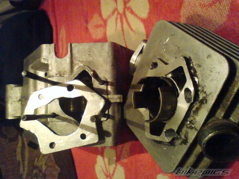Photo 1563558