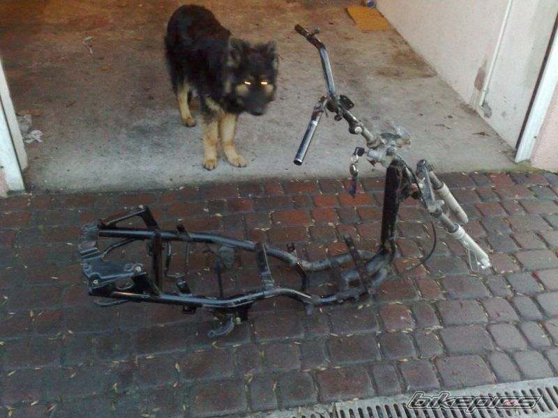Photo 1563591