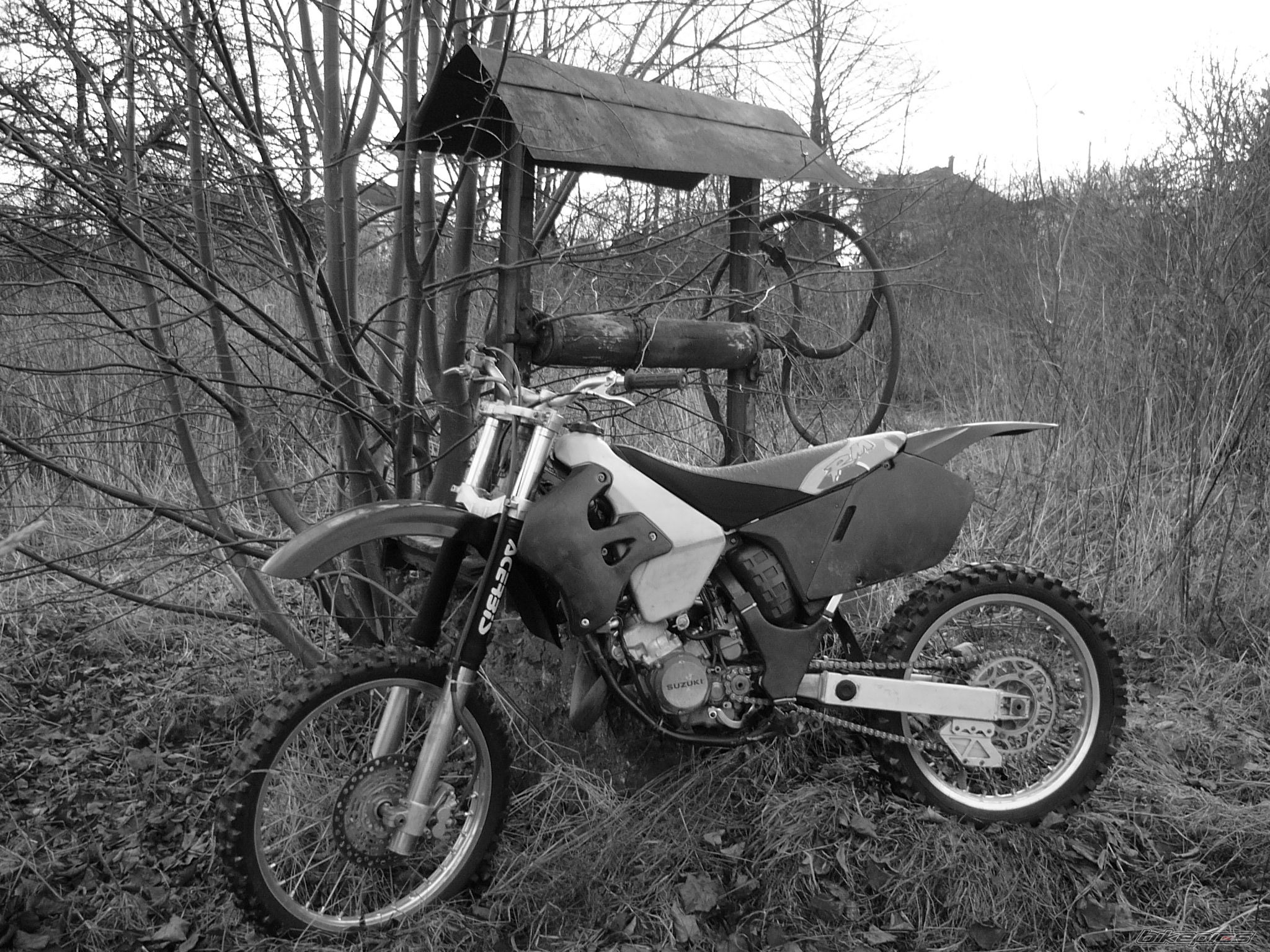 Photo 1563668