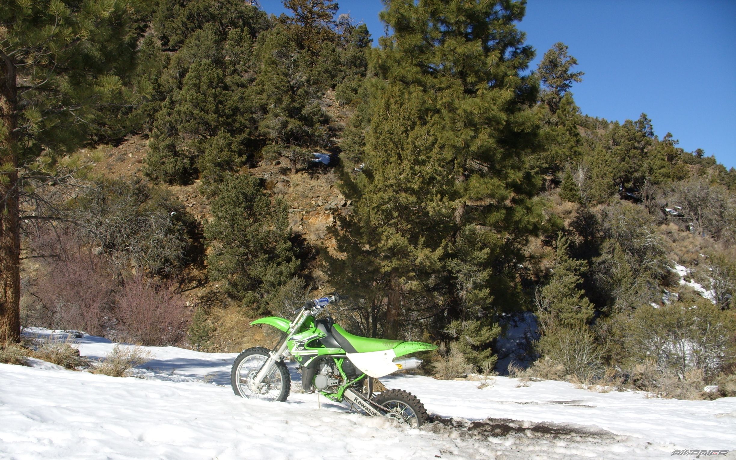 Photo 1563702