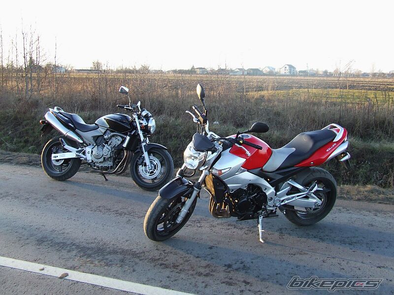 Photo 1563711
