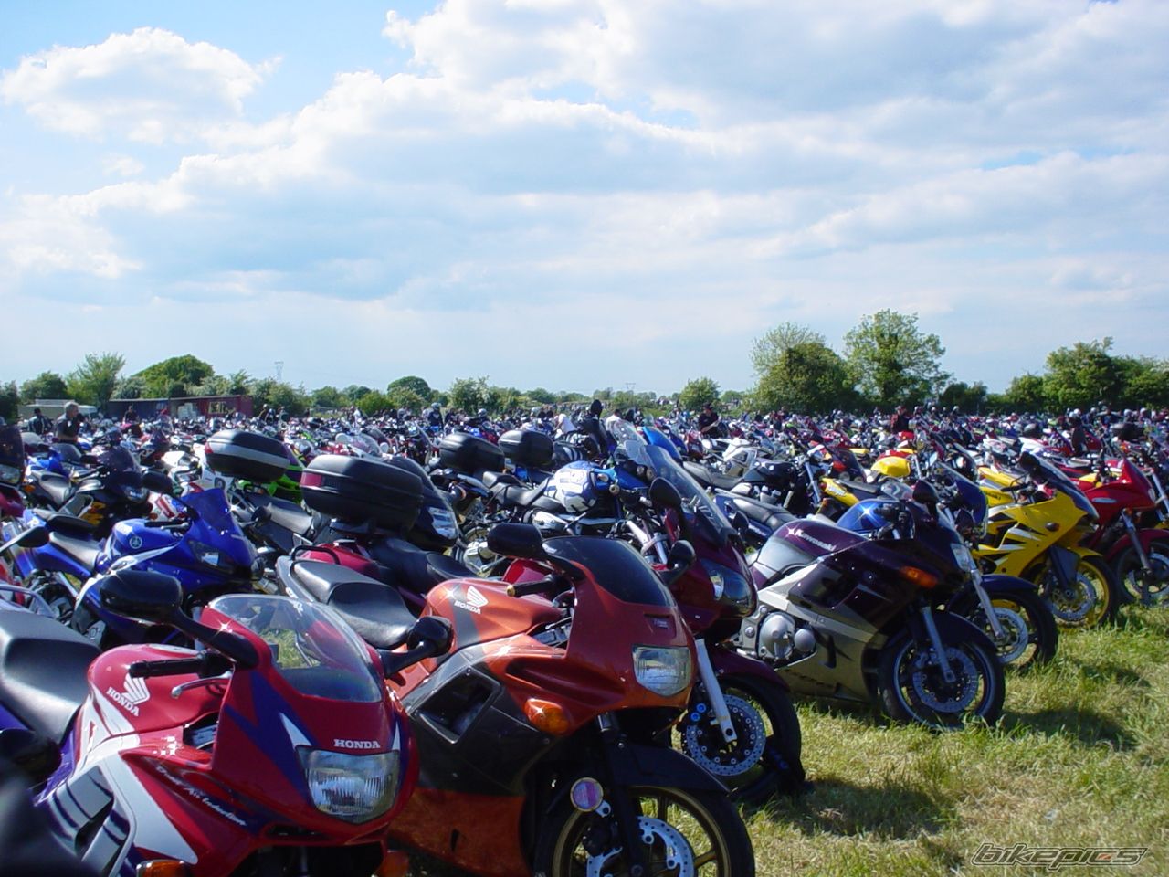 Photo 1563727
