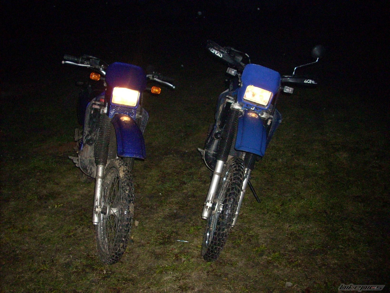 Photo 1563730