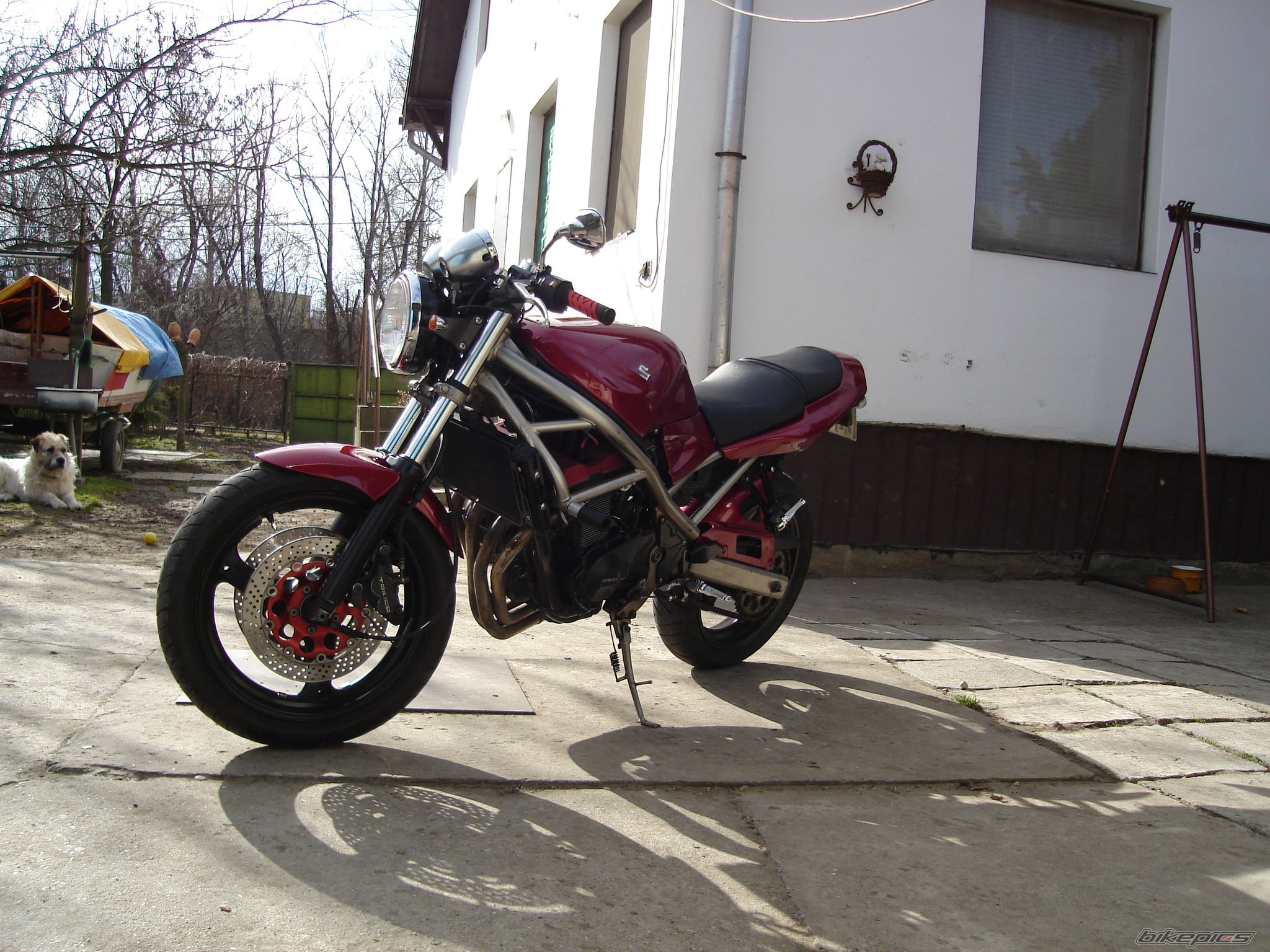 Photo 1563742