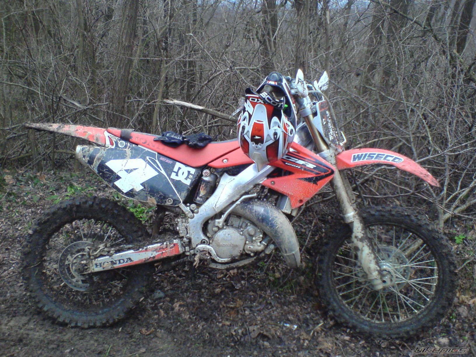 Photo 1563753