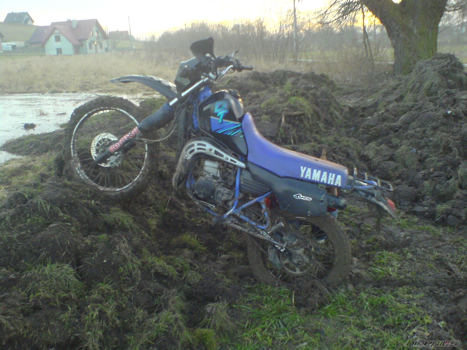 Photo 1563758