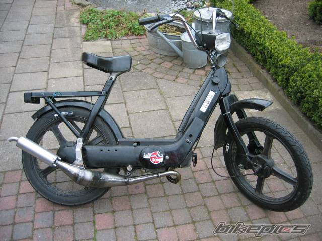 Photo 156376