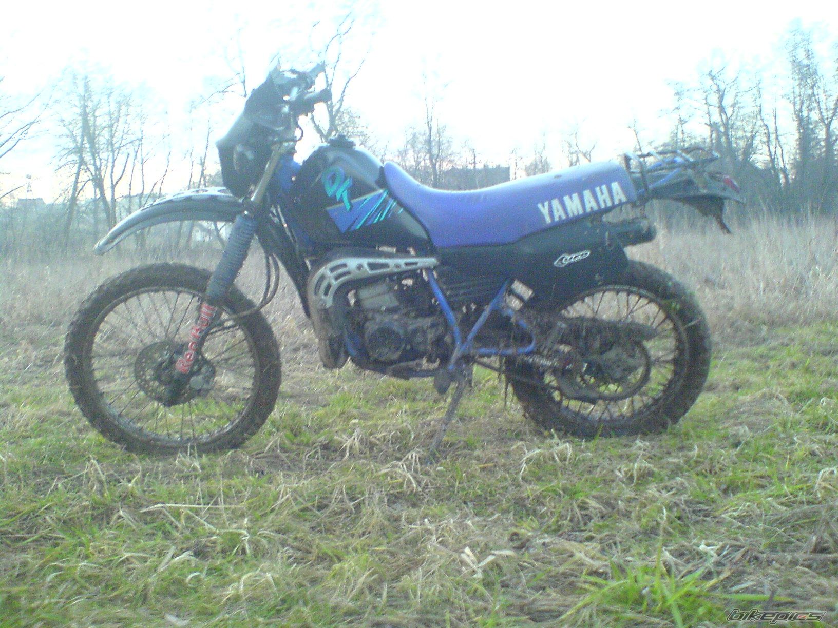 Photo 1563761
