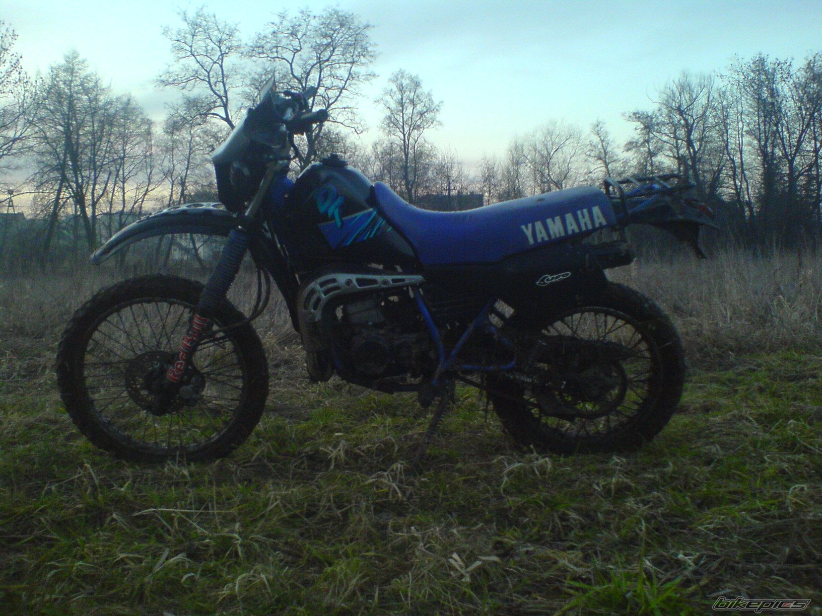 Photo 1563768