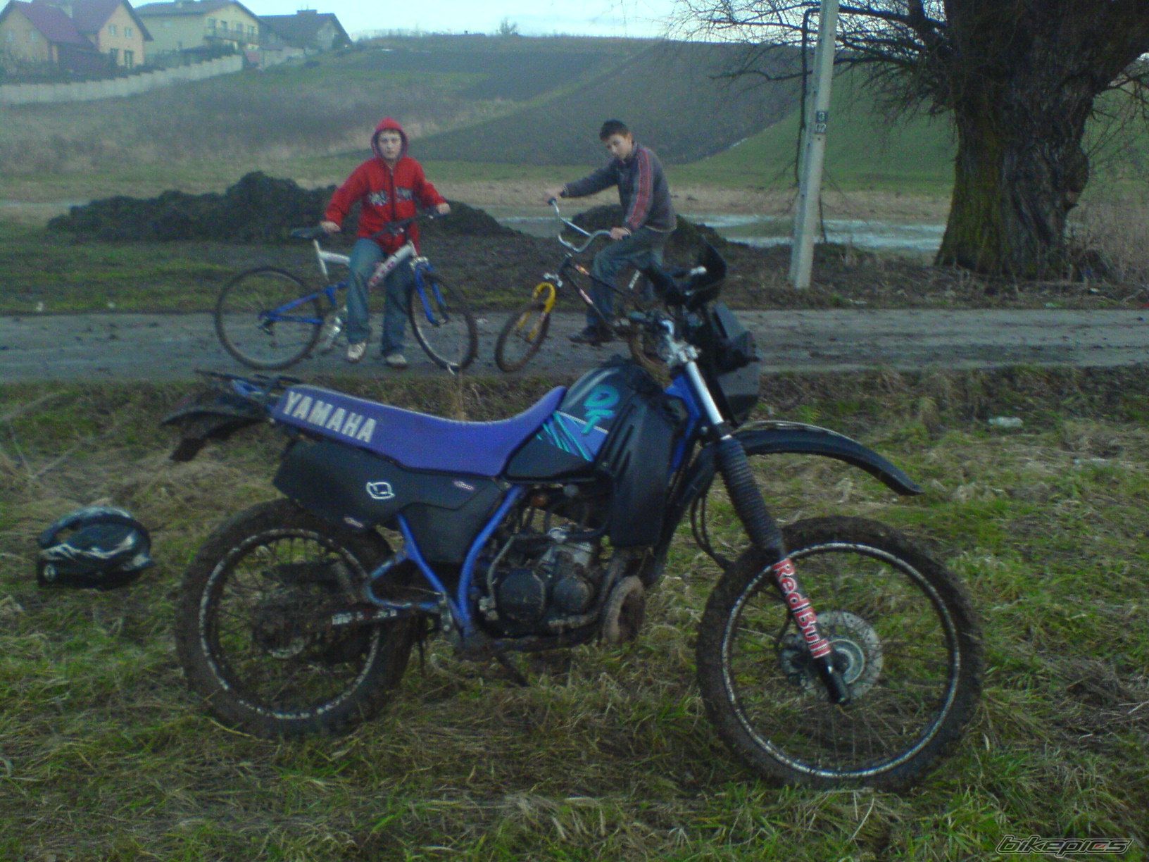 Photo 1563771