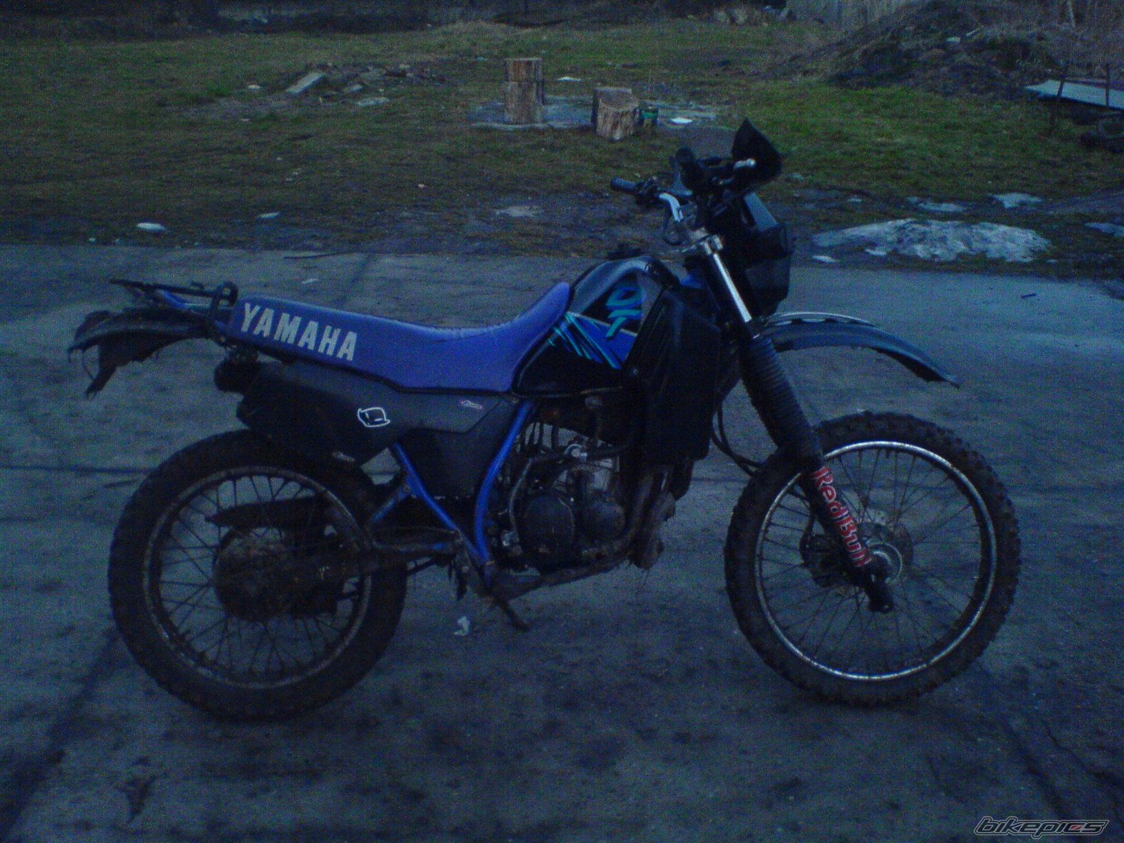 Photo 1563778