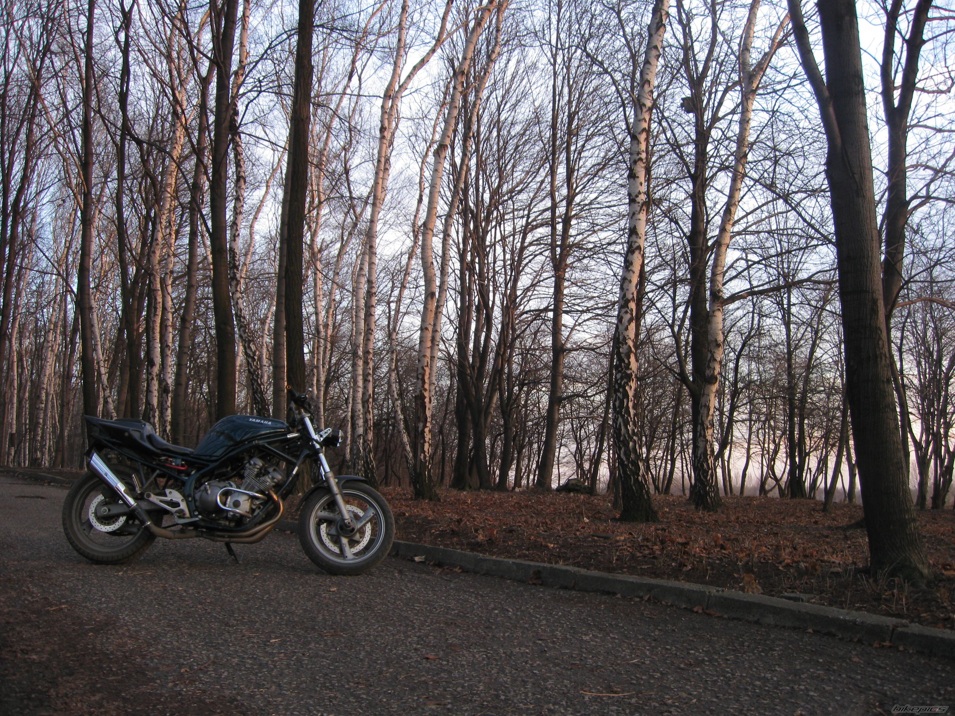 Photo 1563878