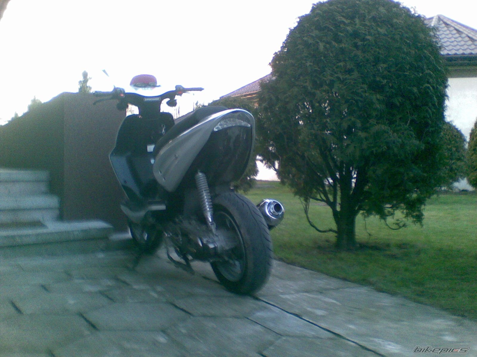 Photo 1564026