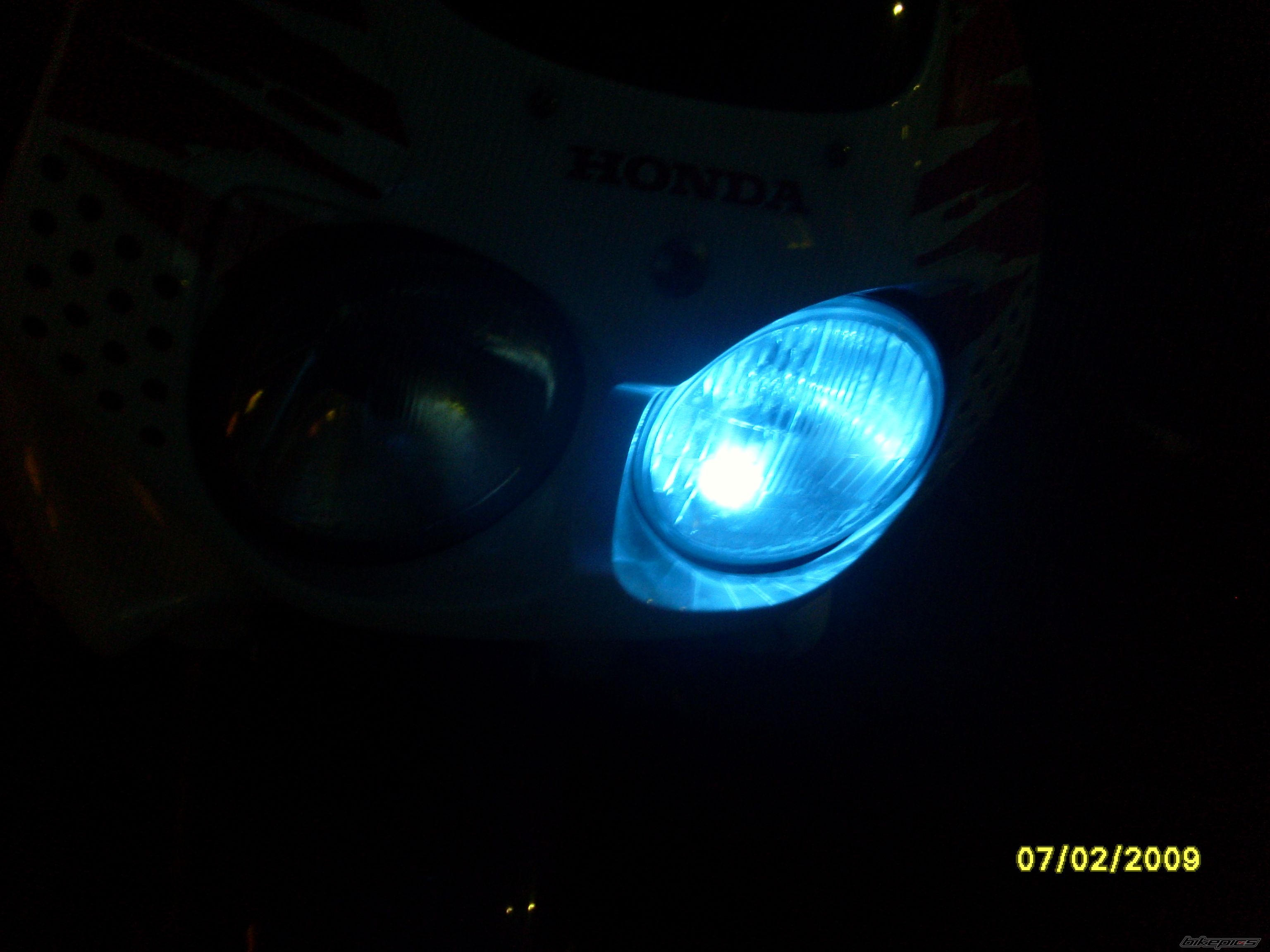 Photo 1564031