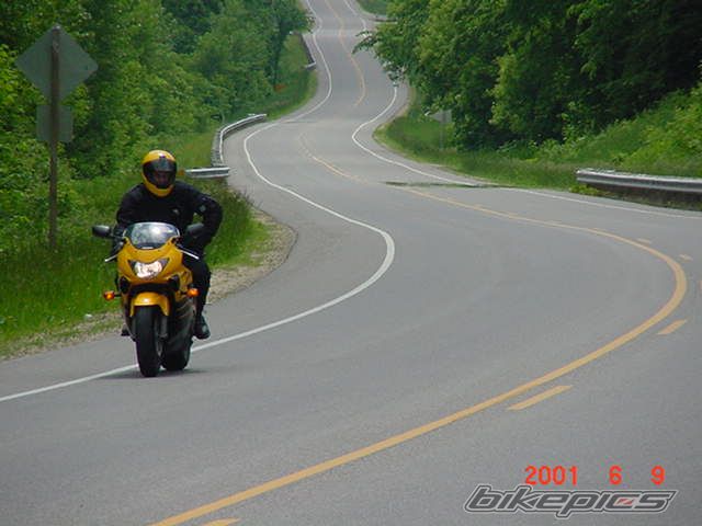 Photo 1564040