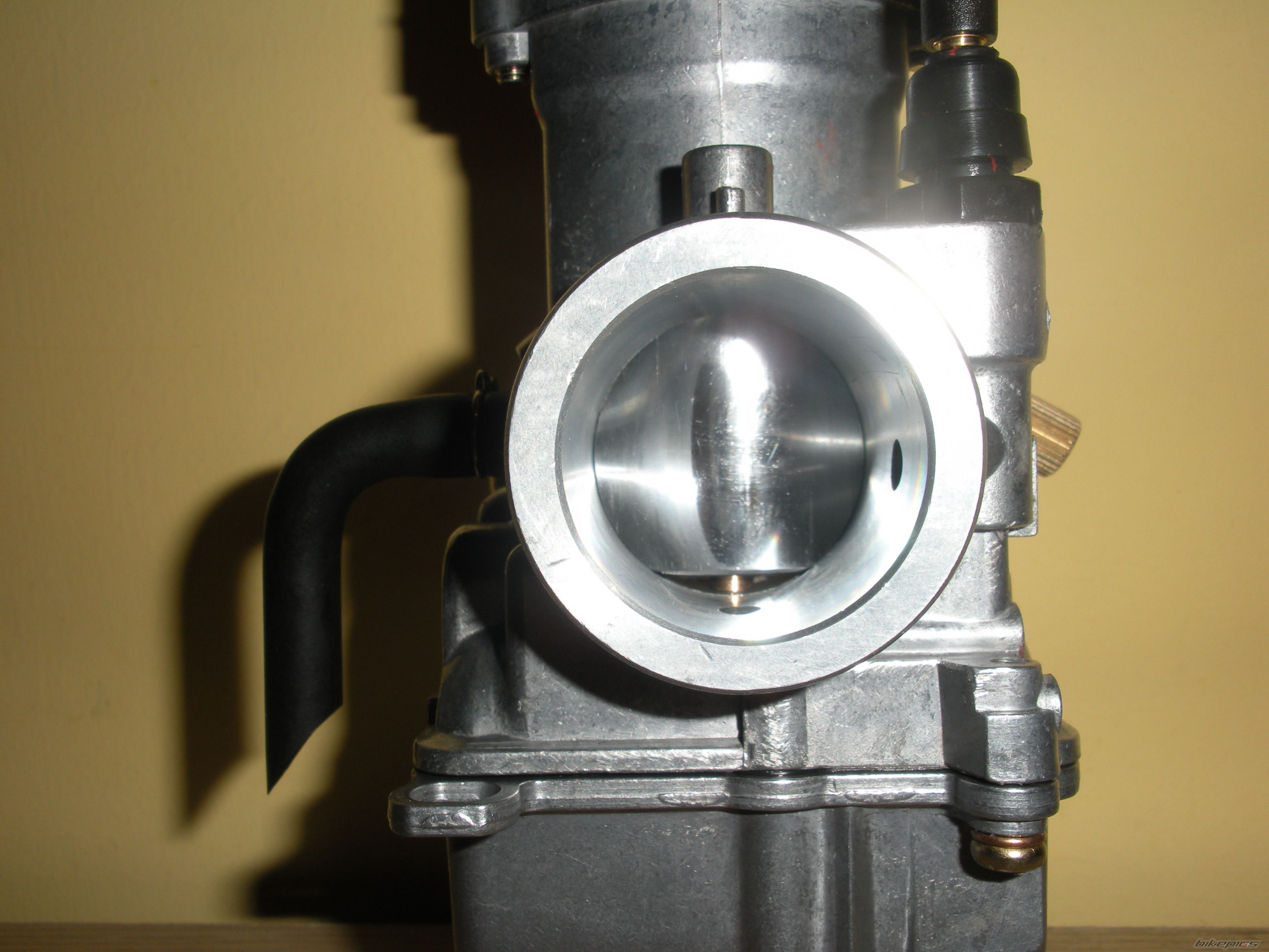 Photo 1564065