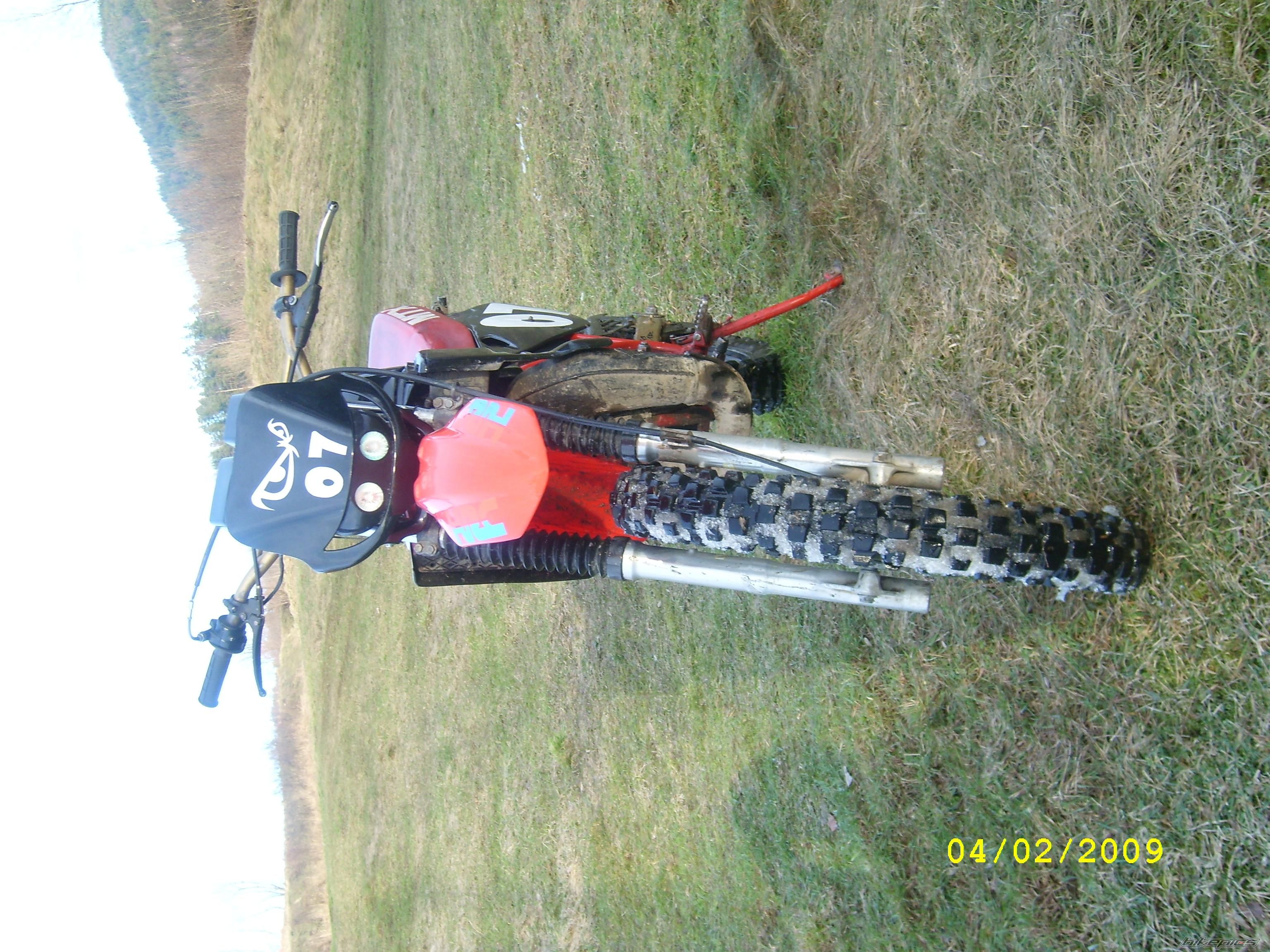 Photo 1564096