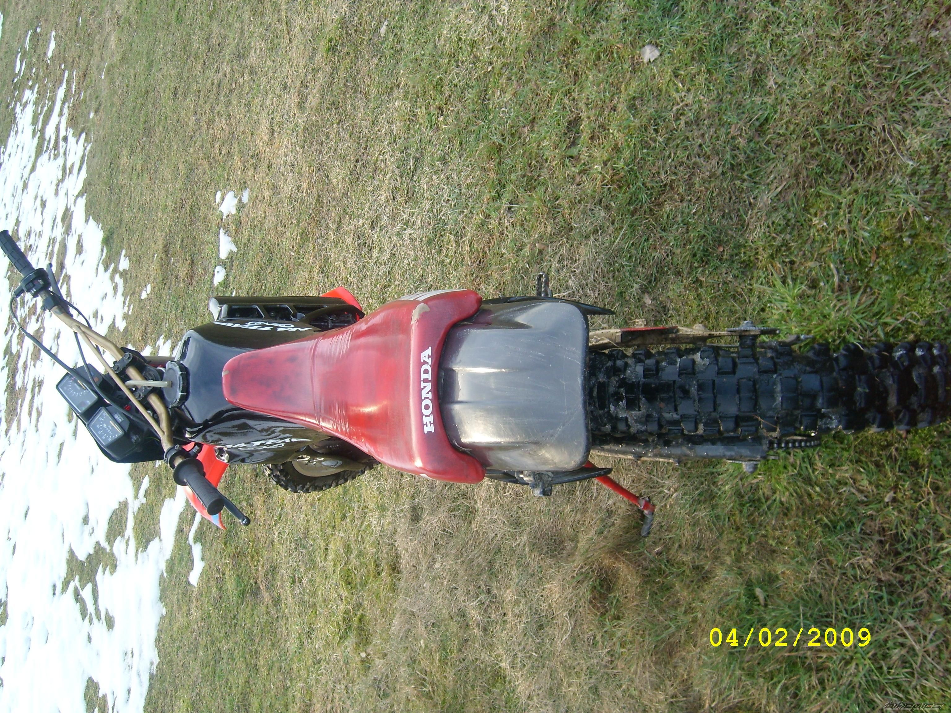 Photo 1564104