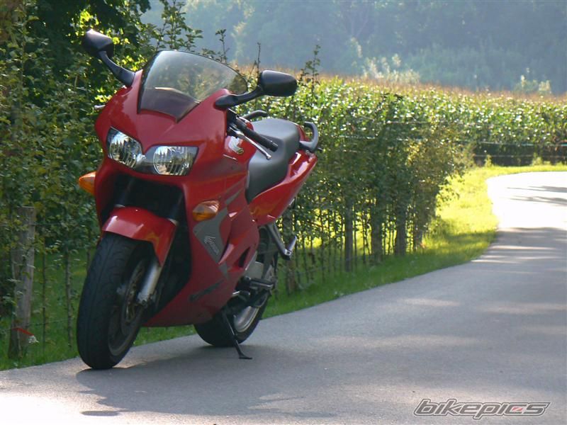 Photo 1564164