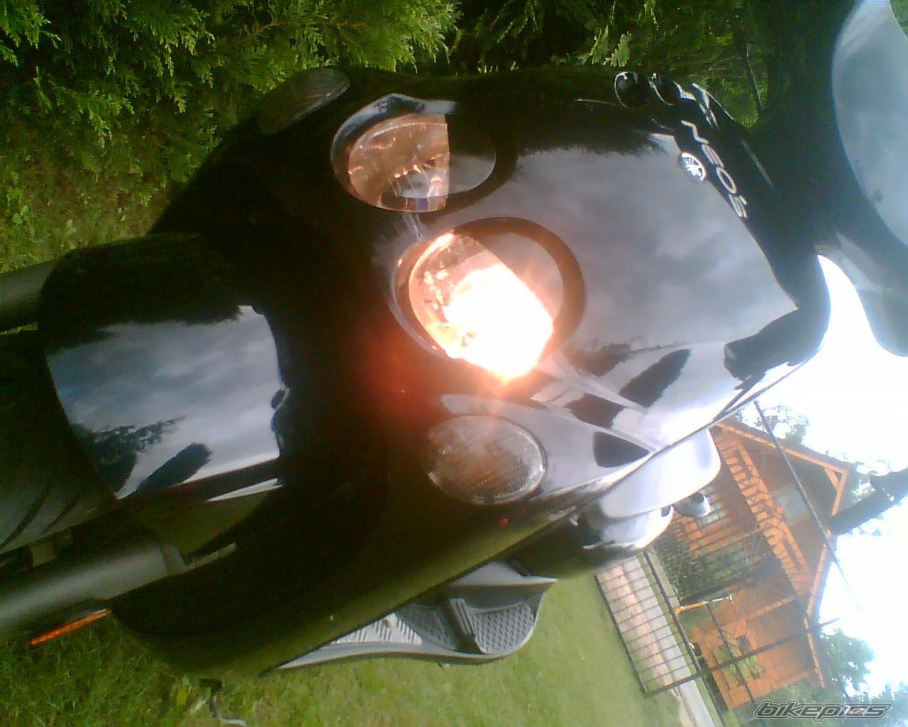 Photo 1564183