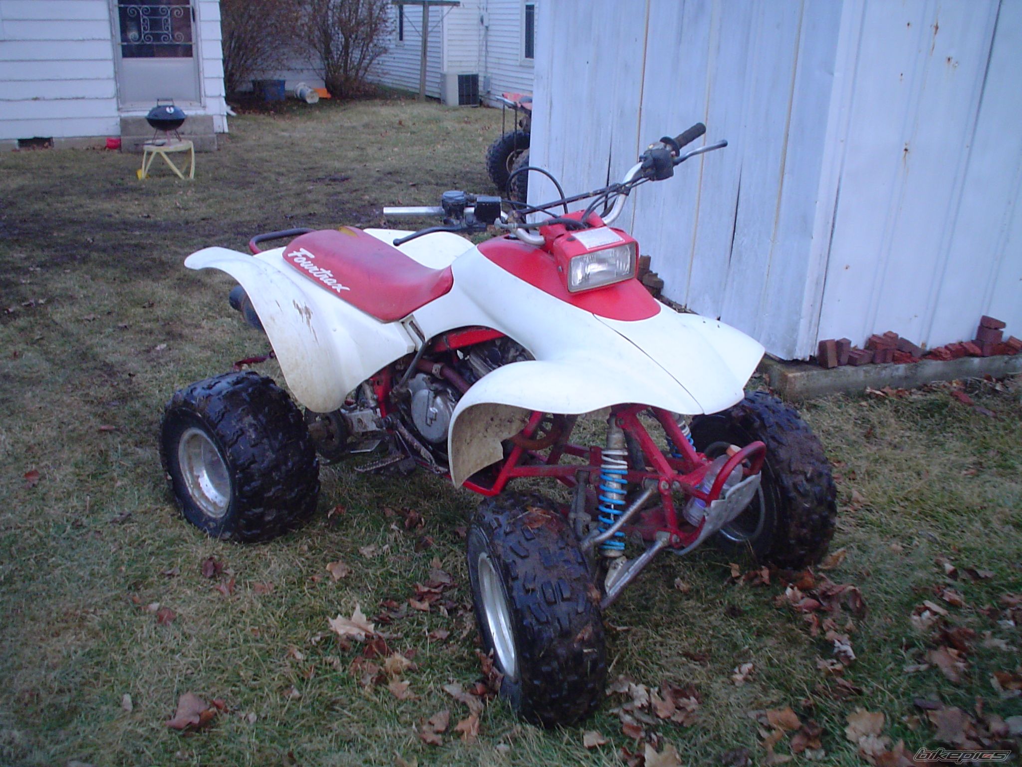 Photo 1564235