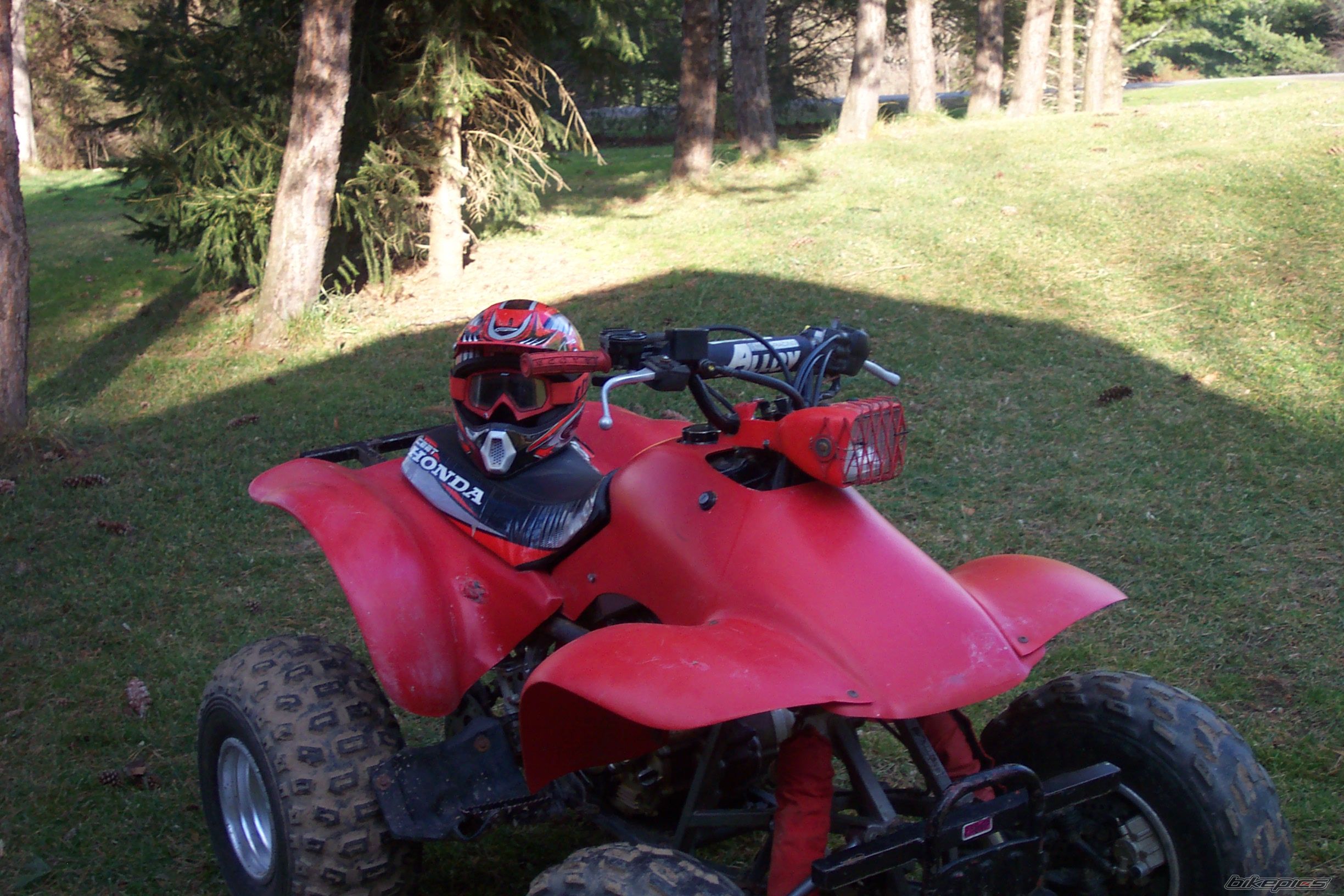 Photo 1564268