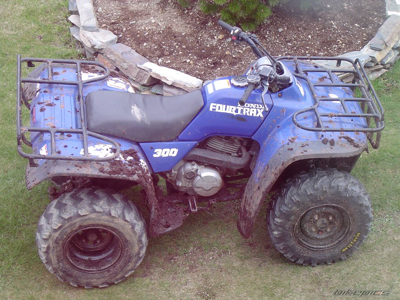 Photo 156431