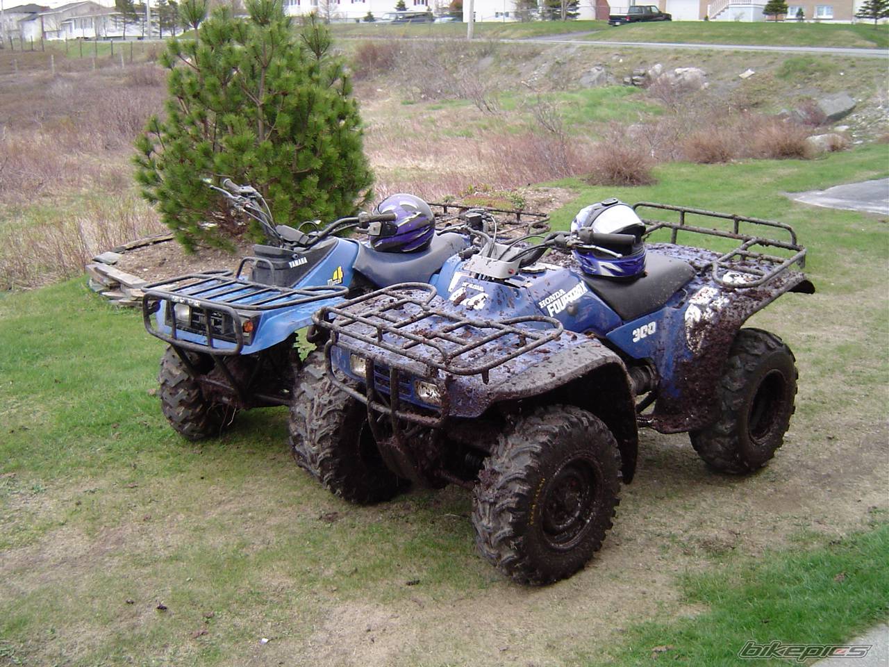 Photo 156433