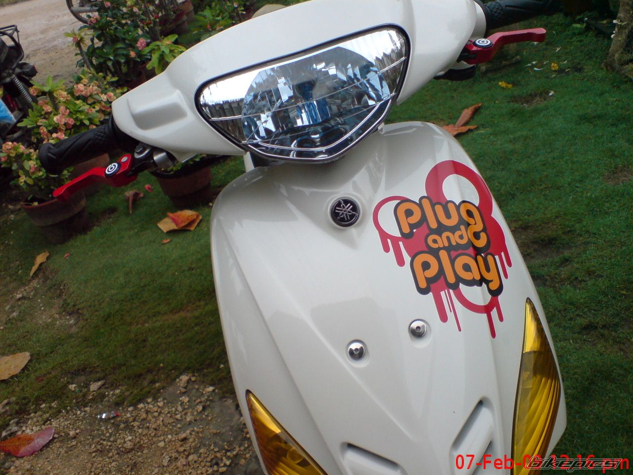 Photo 1564351