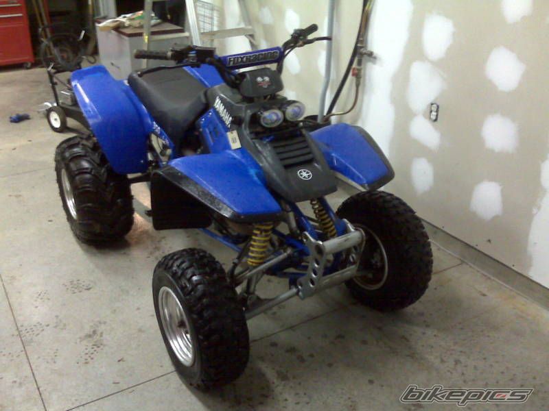 Photo 1564384