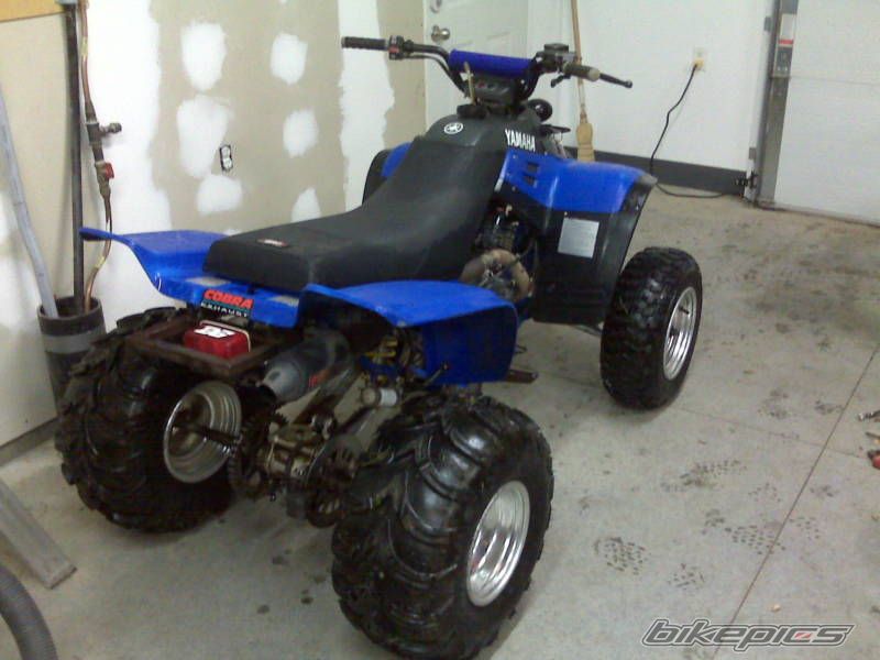 Photo 1564385