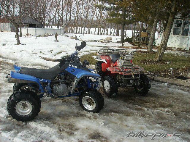 Photo 1564387