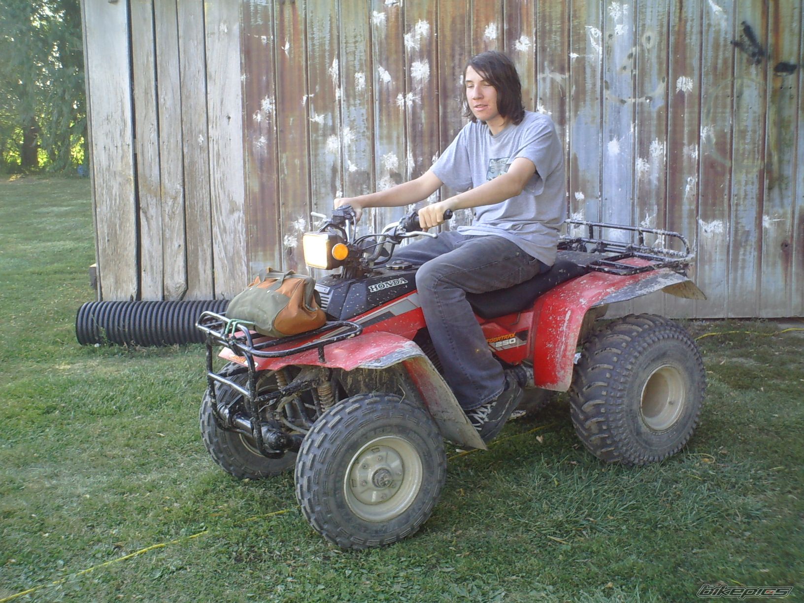 Photo 1564392