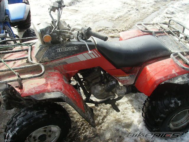 Photo 1564393