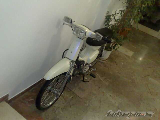 Photo 1564431