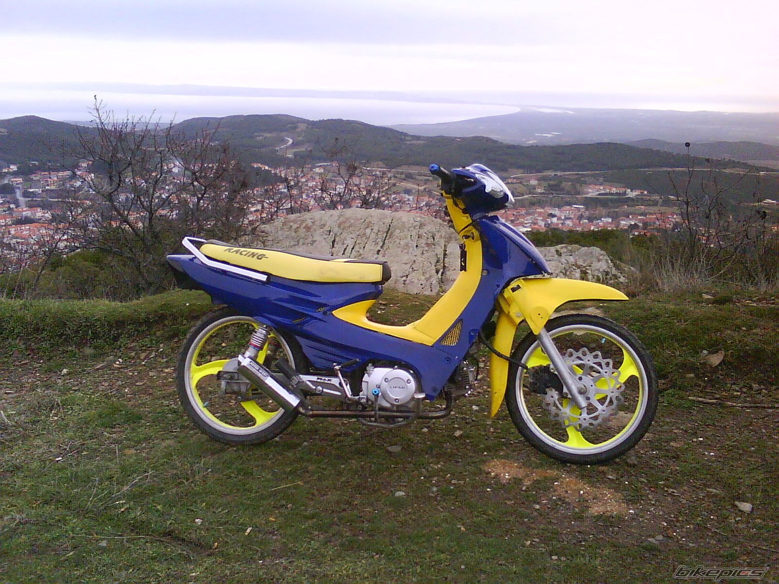 Photo 1564446