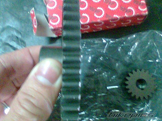 Photo 1564466