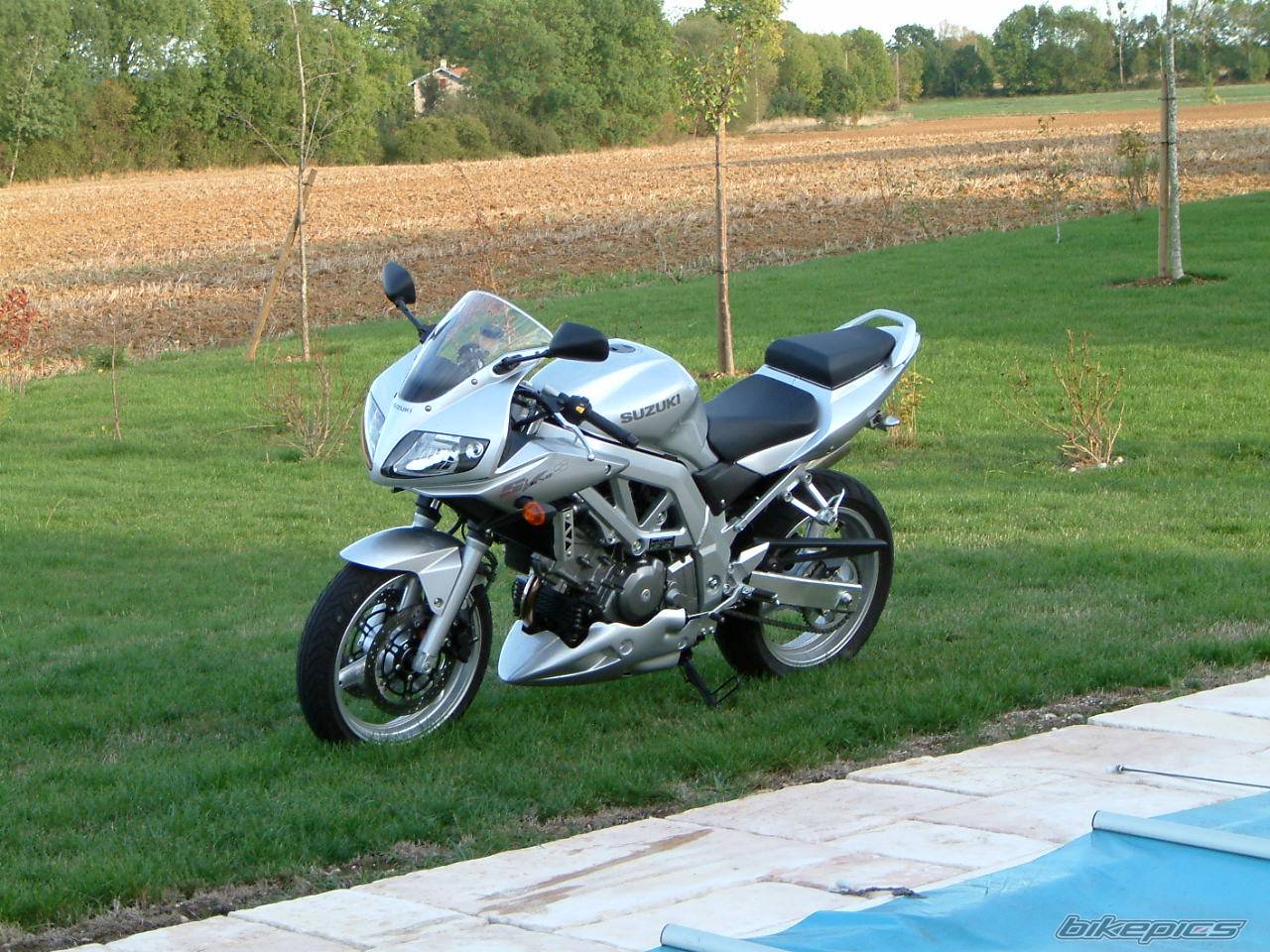 Photo 156447