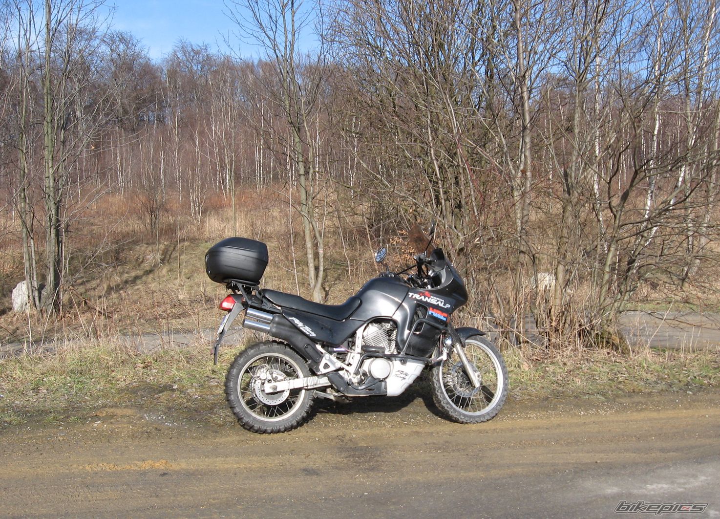 Photo 1564471
