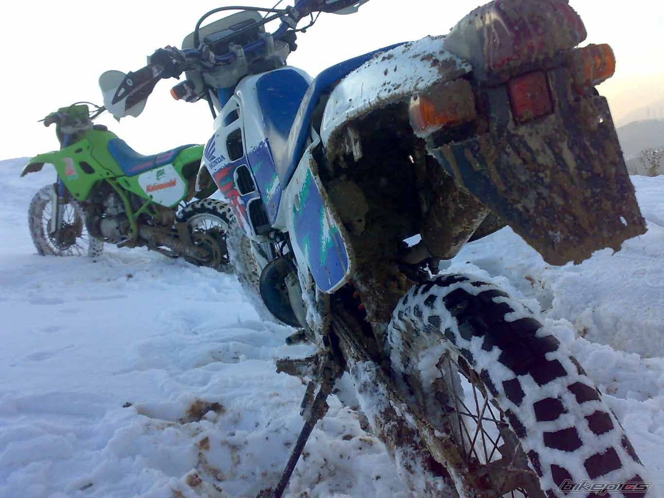 Bike Photo 1564472