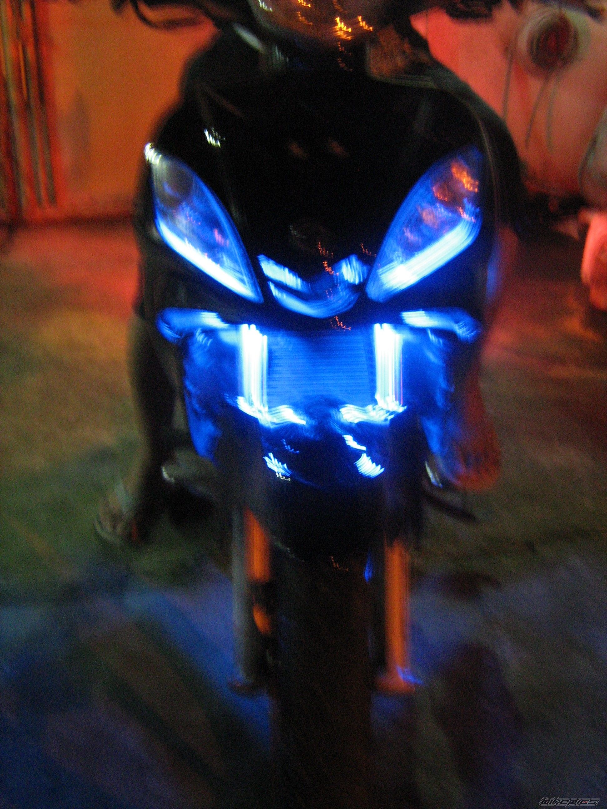 Photo 1564473