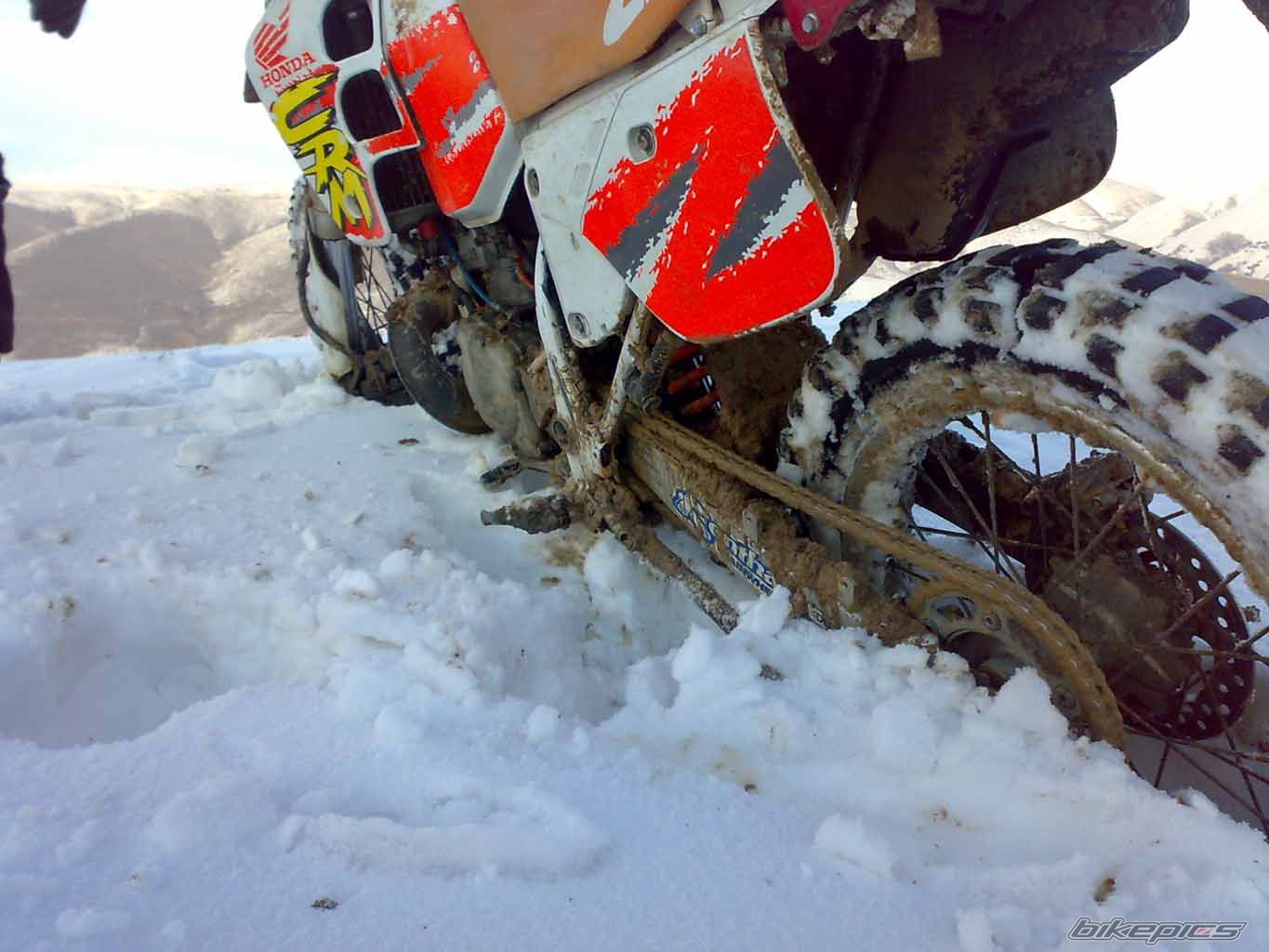 Bike Photo 1564474