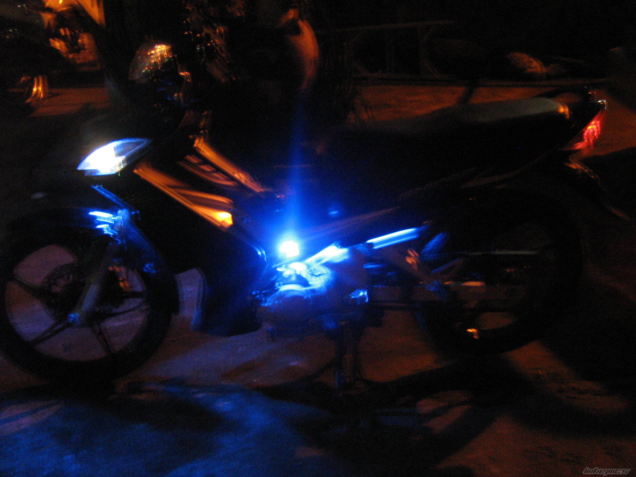 Photo 1564481