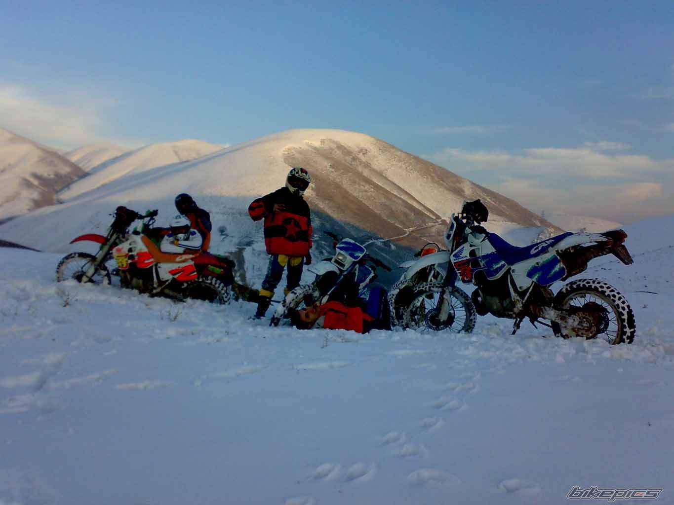 Bike Photo 1564482