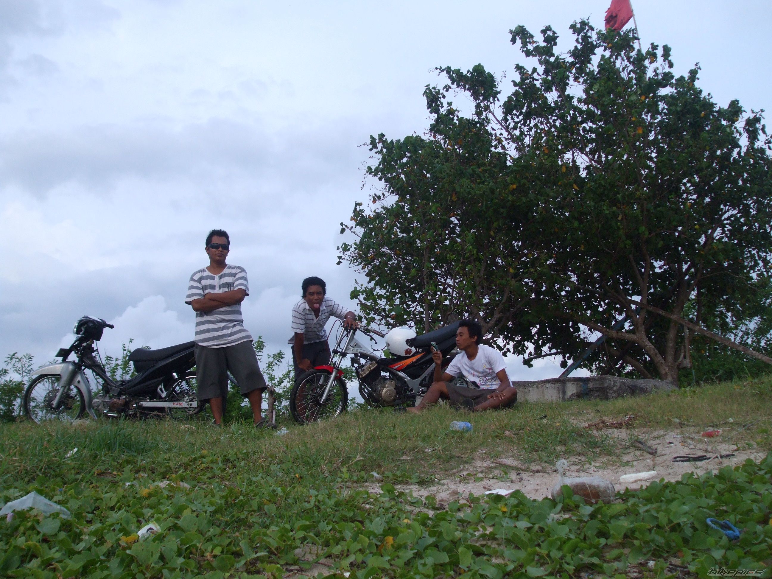 Photo 1564484