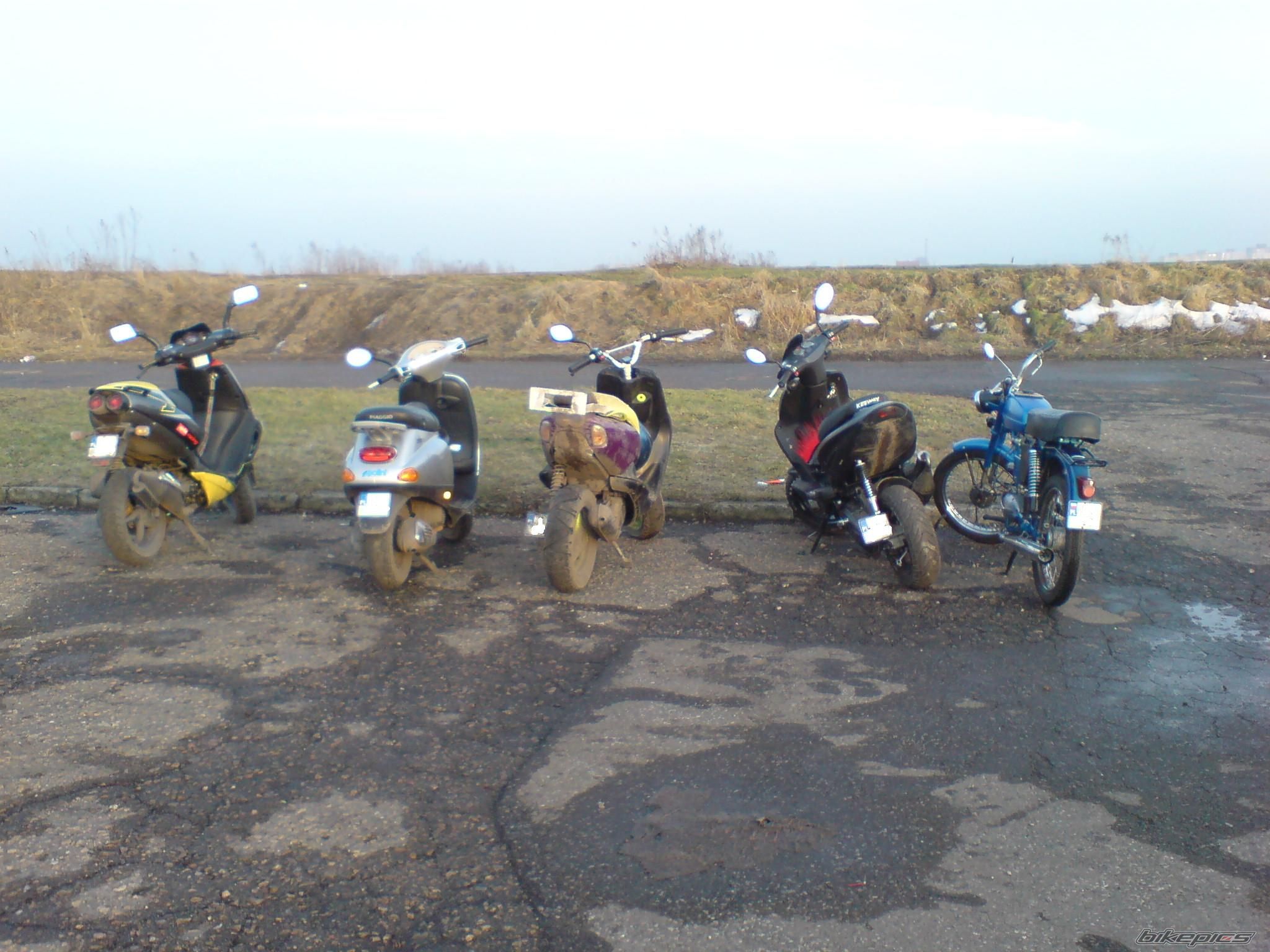 Photo 1564601
