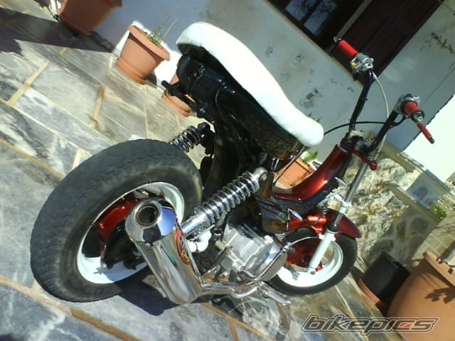 Photo 1564613