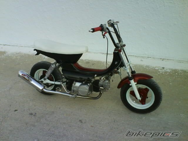 Photo 1564618