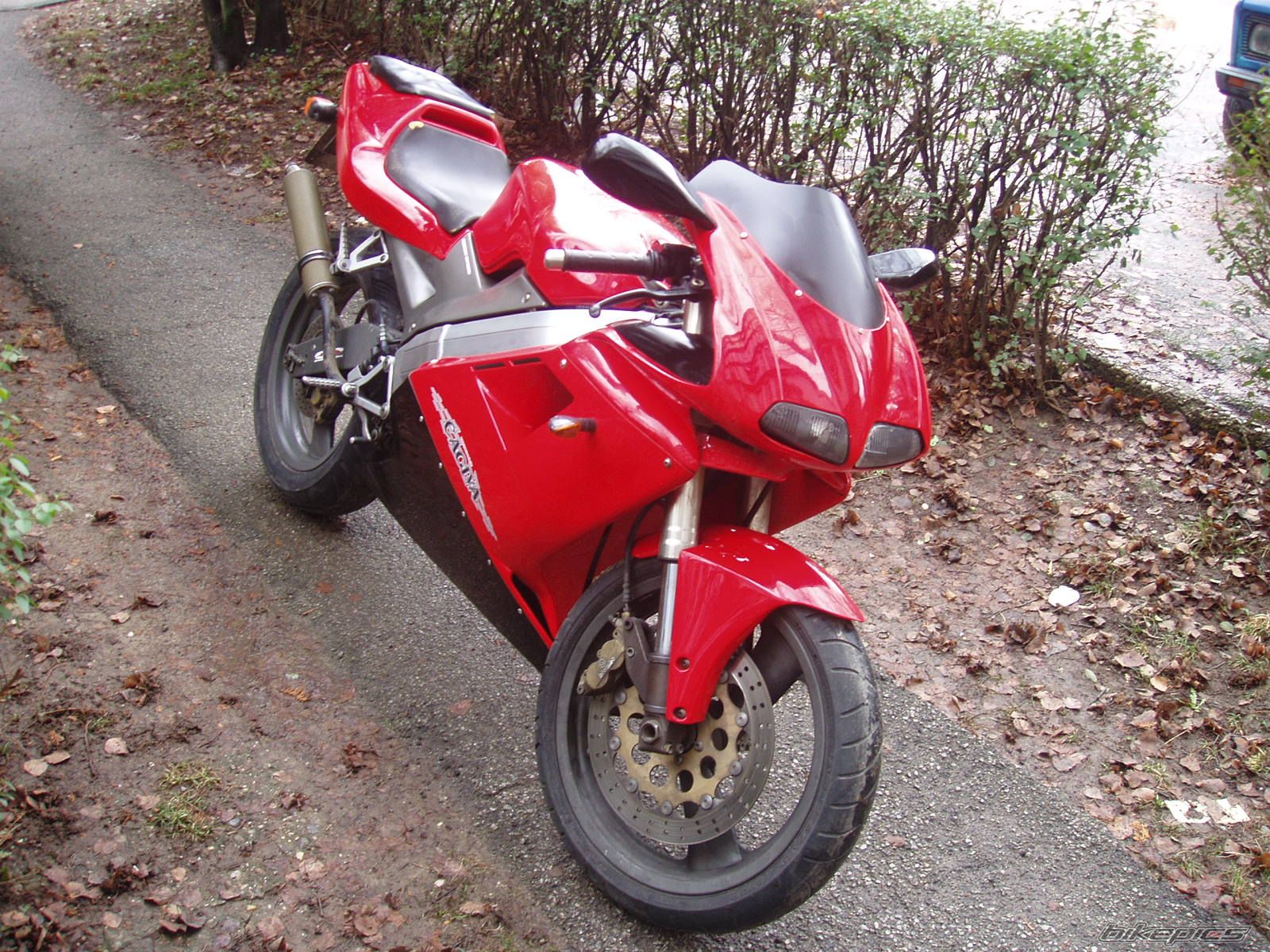 Photo 1564631